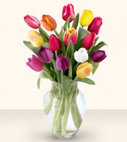  Gaziantep yurtiçi ve yurtdışı çiçek siparişi  13 adet cam yada mika vazoda laleler