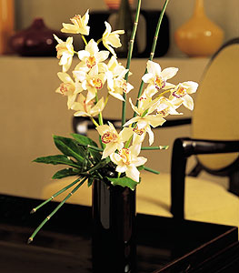  Gaziantep yurtii ve yurtd iek siparii  cam yada mika vazo ierisinde dal orkide