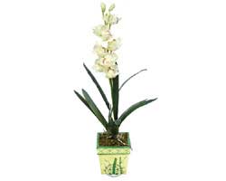 zel Yapay Orkide Beyaz   Gaziantep internetten iek siparii 