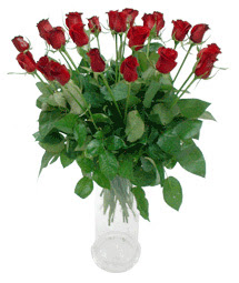  Gaziantep 14 şubat sevgililer günü çiçek  11 adet kimizi gülün ihtisami cam yada mika vazo modeli