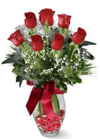  Gaziantep online çiçekçi , çiçek siparişi  7 adet kirmizi gül cam vazo yada mika vazoda