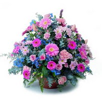  Gaziantep hediye çiçek yolla  mevsim çiçekleri sepeti çiçek yolla için önerilir
