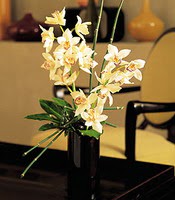  Gaziantep yurtiçi ve yurtdışı çiçek siparişi  cam yada mika vazo içerisinde dal orkide