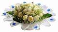 cam günes ve dolunay bembeyaz  Gaziantep hediye sevgilime hediye çiçek 