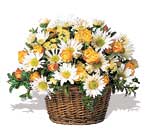sepet içerisinde kir çiçekler   Gaziantep çiçek online çiçek siparişi 