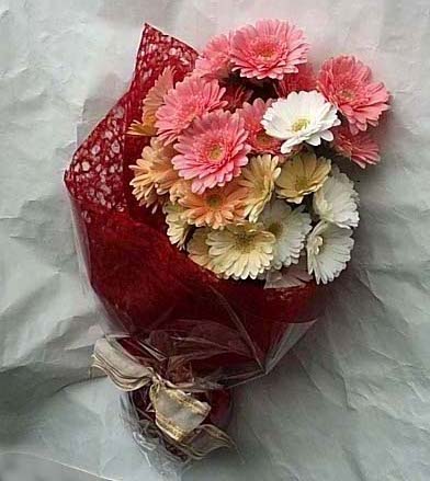 19 adet karisik gerbera buketi  Gaziantep çiçek gönderme sitemiz güvenlidir 
