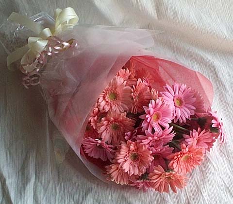 17 adet gerbera buketi  Gaziantep çiçek gönderme sitemiz güvenlidir 