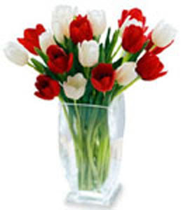  Gaziantep çiçek gönderme sitemiz güvenlidir  cam vazo içerisinde lale demeti ( lale bulunamadig