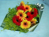 tül içerisinde gerbera çiçekleri 11 adet  Gaziantep çiçek gönderme sitemiz güvenlidir 