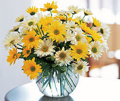  Gaziantep güvenli kaliteli hızlı çiçek  cam vazo içerisinde 3 adet krizantem demeti