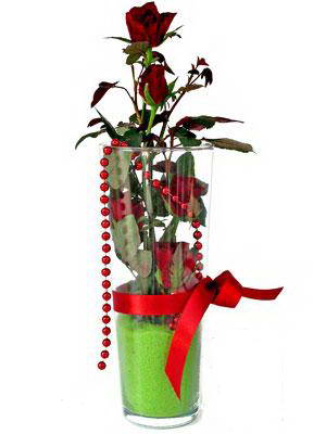  Gaziantep İnternetten çiçek siparişi  Cam yada mika içerisinde 9 adet kirmizi gül - sevdiklerinize özel 