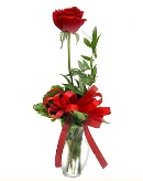 vazo içerisinde 1 adet kırmızı gül  Gaziantep 14 şubat sevgililer günü çiçek 