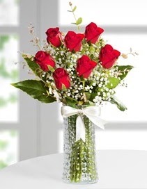 Cam vazoda 7 adet kırmızı gül  Gaziantep hediye sevgilime hediye çiçek 