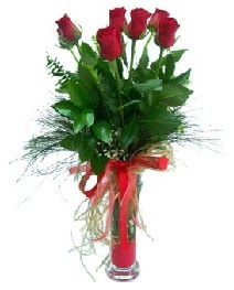 vazo içerisinde 5 kırmızı gül  Gaziantep internetten çiçek satışı 