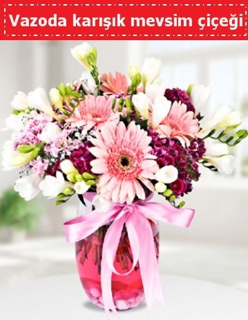 Vazoda karışık mevsim çiçeği  Gaziantep hediye sevgilime hediye çiçek 