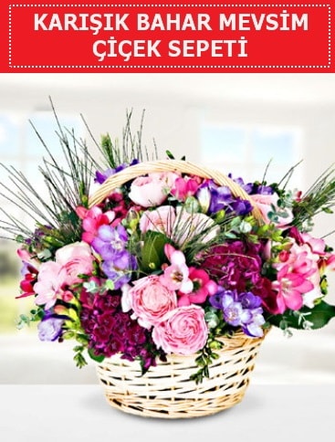Karışık mevsim bahar çiçekleri  Gaziantep çiçek online çiçek siparişi 